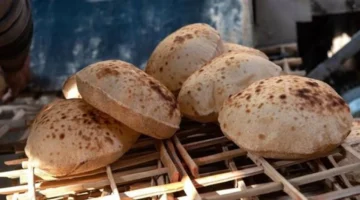 سعر ثابت.. وزير التموين يؤكد بقاؤه 20 قرشًا رغم رفع أسعار السولار وامتيازات الخبز المدعم مستمرة